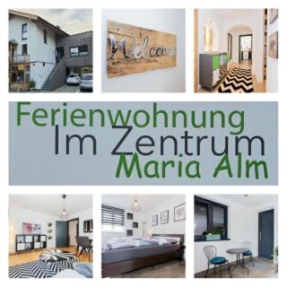 Ferienwohnung Im Zentrum Maria Alm am Steinernen Meer Exterior photo